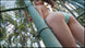 [enfd-5434] yume no sekai he dvd