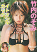 idol one: itooshii karada dvd