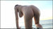 [kidm-356] bakunyu 115cm dvd