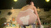[lcbd-768] aishite hosiino blu-ray